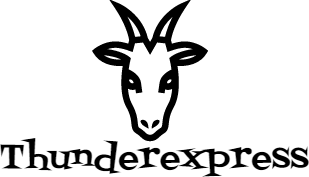 Thunderexpress.se
